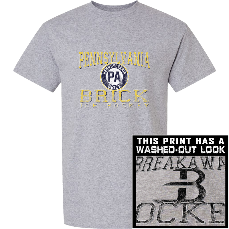 PA Brick Youth Short Sleeve T-Shirt